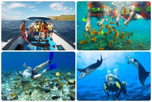 Manta Point, 1. Wisata Dream Beach, 2. Wisata Pantai Jungut Batu, 3. Wisata Jembatan Gantung, 4. Wisata Goa Gala, 5. Wisata Pantai Selambung Lembongan, 6. Wisata Bukit Panorama Nusa Lembongan, 7. Wisata Mushroom Beach, 8. Pantai Toya Pakeh, 9. Wisata Nusa Penida, 10. Wisata Nusa Lembongan, 11. Anjungan Tukad Melangit, 12. Manta Point, 13. Wisata Nusa Ceningan, 14. Wisata Pantai Crystal Bay, 15. Wisata Pantai Atuh, 16. Wisata Pantai Pasih Uug, 17. Wisata Mata Air Seganing, 18. Wisata Tebing Blue Lagoon, 19. Wisata Hutan Mangrove Lembongan, 20. Wisata Pulau Seribu, 21. Wisata Pantai Banah, 22. Wisata Pantai Andus, 23. Wisata Devil’s Tear Lembongan, 24. Wisata Goa Giri Putri, 25. Wisata Labuan Ampuak, 26. Menikmati Betapa Indahnya Wisata Teluk Sebila, 27. Wisata Guyangan Mata Air, 28. Wisata Pantai Suwehan, 29. Wisata Pantai Kelingking, 30. Wisata Tembeling Water Spring, 31. Wisata Angel’s Billabong, 32. Wisata Pura Paluang, 33. Wisata Bukit Teletubbies di Nusa penida, 34. Wisata Pantai Lepang, 35. Wisata Desa Tihingan Penghasil Gong Artistik, 36. Wisata Taman Gili Kerta Gosa, 37. Wisata Pantai Watu Klotok, 38. Wisata Pura Goa Lawah, 39. Wisata Desa Kamasan, 40. Wisata Arum Jeram Sungai Melangit, 41. Wisata Pura Taman Sari, 42. Wisata Bukit Belong Gunaksa, 43. Wisata Museum Seni Lukis Klasik Nyoman Gunarsa, 44. Wisata Goa Jepang, 45. Wisata Museum Semarajaya, 46. Wisata Pantai Kusamba, 47. Wisata Air Terjun Tukad Unda, 48. Wisata Pasar Seni Kota Semarapura, 49. Wisata Lapangan Puputan Klungkung, 50. Wisata Monumen Puputan, 51. Wisata Pura Lembongan, 52. Tanjung Pandan, 53. Rumah Pohon Batu Molenteng, 54. Wisata Pohon Cinta Nusa penida, 55. Wisata Kuliner Bubur Ledok, 56. Wisata Kuliner Serombotan Klungkung