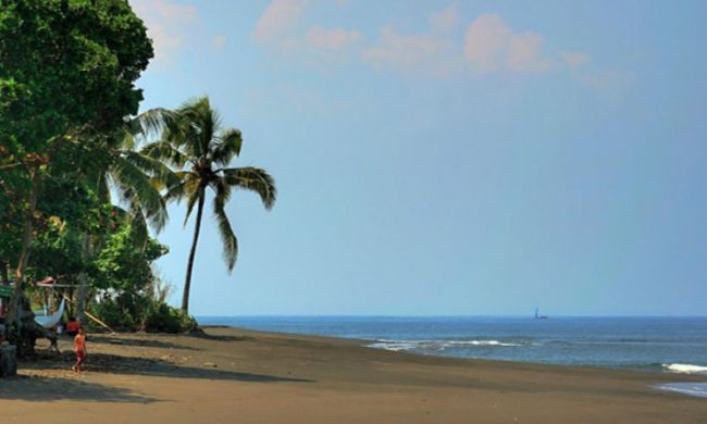 Pantai Perancak, 1. Pantai Perancak, 2. Wisata Pantai Medewi, 3. Pura Rambut Siwi, 4. Wisata Pantai Perancak Candikusuma, 5. Wisata Teluk Gilimanuk, 6. Wisata Monumen Lintas Laut Jawa – Bali, 7. Taman Nasional Bali Barat, 8. Wisata Bendungan Palasari, 9. Wisata Bunut Bolong, 10. Wisata Pantai Baluk Rening, 11. Wisata Pura Jati, 12. Wisata Pantai Delod Berawah, 13. Wisata Pantai Pengeragoan, 14. Wisata Pura Majapahit, 15. Wisata Museum Manusia Purba, 16. Wisata Air Tirta Lestari Gumbrih, 17. Wisata Desa Sangkaragung, 18. Wisata Rest Area Rambut Siwi, 19. Wisata Alun – Alun Jembrana, 20. Wisata Bendungan Benel, 21. Wisata Karang Sewu, 22. Wisata Desa Blimbing, 23. Wisata Makam Tua, 24. Wisata Rumah Panggung, 25. Wisata Kuliner Ayam Betutu, 26. Wisata Tukad Gelar, 27. Wisata Air Terjun Juwuk Manis, 28. Wisata Makepung, 29. Wisata Puncak Mawar, 30. Pantai Yeh Leh, 31. Pantai Yeh Kuning, 32. Pantai Candikusuma, 33. Wisata Pantai Pebuahan, 34. Wisata Taman Siwa, 35. Pelabuhan Perikanan Pengambengan, 36. Air Terjun Bidadari, 37. Wisata Pelabuhan Gilimanuk, 38. Puncak JR, 39. Wisata Green Cliff Yeh Embang Kangin, 40. Pantai Karang Impian, 41. Air Terjun Batu Belah Dewasana, 42. Waterpark Giri Buana, 43. Pura Jagatnatha