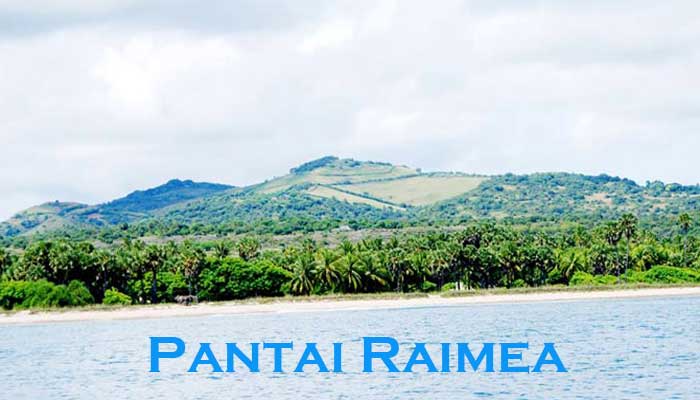 Pantai Rai Mea, 1. Wisata Grand Canyon Kelabba Maja, 2. Pantai Bollow, 3. Pantai Lobohede, 4. Wisata Pantai Hailape, 5. Wisata Pantai Napae, 6. Wisata Pantai Bali, 7. Wisata Bukit Lede Pemulu, 8. Wisata Koloudju, 9. Wisata Huwaga, 10. Wisata Pantai Seba, 11. Wisata Gua Lie Mabala, 12. Pantai Ege, 13. Danau Lederaga, 14. Pantai Lederaga, 15. Pantai Rai Mea, 16. Bukit Salju, Wisata Alam Sabu Raijua, 17. Wisata Kampung Namata, Wisata Budaya Sabu Raijua, 18. Istana Teni Hawu, Wisata Sejarah Sabu Raijua 