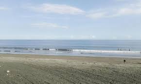 Pantai Yeh Kuning, 1. Pantai Perancak, 2. Wisata Pantai Medewi, 3. Pura Rambut Siwi, 4. Wisata Pantai Perancak Candikusuma, 5. Wisata Teluk Gilimanuk, 6. Wisata Monumen Lintas Laut Jawa – Bali, 7. Taman Nasional Bali Barat, 8. Wisata Bendungan Palasari, 9. Wisata Bunut Bolong, 10. Wisata Pantai Baluk Rening, 11. Wisata Pura Jati, 12. Wisata Pantai Delod Berawah, 13. Wisata Pantai Pengeragoan, 14. Wisata Pura Majapahit, 15. Wisata Museum Manusia Purba, 16. Wisata Air Tirta Lestari Gumbrih, 17. Wisata Desa Sangkaragung, 18. Wisata Rest Area Rambut Siwi, 19. Wisata Alun – Alun Jembrana, 20. Wisata Bendungan Benel, 21. Wisata Karang Sewu, 22. Wisata Desa Blimbing, 23. Wisata Makam Tua, 24. Wisata Rumah Panggung, 25. Wisata Kuliner Ayam Betutu, 26. Wisata Tukad Gelar, 27. Wisata Air Terjun Juwuk Manis, 28. Wisata Makepung, 29. Wisata Puncak Mawar, 30. Pantai Yeh Leh, 31. Pantai Yeh Kuning, 32. Pantai Candikusuma, 33. Wisata Pantai Pebuahan, 34. Wisata Taman Siwa, 35. Pelabuhan Perikanan Pengambengan, 36. Air Terjun Bidadari, 37. Wisata Pelabuhan Gilimanuk, 38. Puncak JR, 39. Wisata Green Cliff Yeh Embang Kangin, 40. Pantai Karang Impian, 41. Air Terjun Batu Belah Dewasana, 42. Waterpark Giri Buana, 43. Pura Jagatnatha