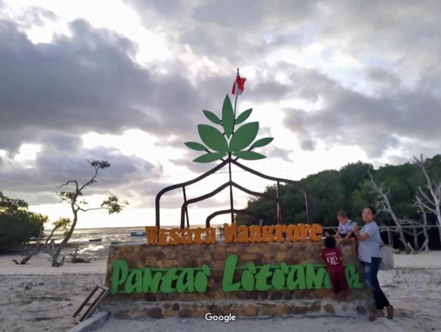 Pantai dan Hutan Mangrove Litianak Foto Melky Kabu, 1. Wisata Batu Termanu, 2. Wisata Tangga 300, 3. Wisata Pantai Mulut Seribu, 4. Wisata Pantai Nembrala, 5. Wisata Mata Air Oemau, 6. Wisata Pulau Do’o, 7. Wisata Pantai Tolanamon, 8. Wisata Pulau Ndana, 9. Wisata Bukit Bebalain, 10. Wisata Danau Laut Mati, 11. Wisata Pantai Bo’a, 12. Wisata Pantai Laviti, 13. Wisata Pemandian Sulimatan, 14. Wisata Pantai Tiang Bendera, 15. Wisata Pantai Telaga Nirwana, 16. Wisata Pantai Dombo, 17. Pantai dan Hutan Mangrove Litianak, 18. Air Terjun Fakakain Oefamba, 19. Air Terjun Oe Kod’de, 20. Titik Nol Kilometer Selatan Indonesia, 21. Pantai Oebi’ik dan Pantai Lala’din, 22. Telaga Leleen Landu, 23. Puncak ASEAN, 24. Pantai Oeseli, 25. Pantai Batu Pintu, 26. Pantai Lifu Lada, 27. Pantai Tongga, 28. Pantai Lutubabatu dan Pantai Tolama, 29. Pantai Sai Oebole, 30. Danau Merah, 31. Pantai Nemberala, 32. Pantai Oesosole