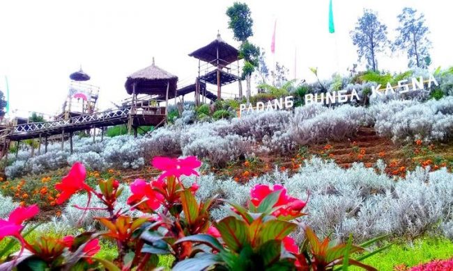 Padang Bunga Kasna via Kompas, 1. Wisata Air Terjun Yeh Poh, 2. Wisata Bukit Asmara, 3. Wisata Air Terjun Telaga Waja, 4. Wisata Masjid Baiturrahman, 5. Wisata Pura Bukit Gumang, 6. Wisata Air Terjun Jagasatru, 7. Wisata Gunung Dwangga, 8. Wisata Air Terjun Tibu Kresek, 9. Wisata Pantai Balina, 10. Wisata Rumah Coklat, 11. Wisata Telaga Waja Rafting, 12. Wisata Bukit Putung, 13. Wisata Desa Iseh, 14. Wisata Pura Besakih, 15. Wisata Bukit Jambul, 16. Wisata Air Terjun Tibu Tengah, 17. Wisata Air Terjun Yeh Labuh, 18. Wisata Banjar Bukit Tabunan, 19. Wisata Cepik Sidemen, 20.  Wisata Pantai Wates, 21. Wisata Jembatan Kuning Yeh Unda, 22. Wisata Air Terjun Tibumati, 23. Wisata Bukit Nampo Sibetan, 24.  Wisata Dermaga Tanah Ampo, 25. Wisata Pantai Jasri, 26. Wisata bendungan Yeh Unda Hulu, 27. Wisata Pantai Labuan Jelung, 28. Wisata Pantai Ujung, 29. Wisata Kuliner sate Lilit, 30. Wisata Kuliner Nasi Sela, 31. Wisata Pantai Pasih Kelod, 32. Wisata White Sand Beach, 33. Wisata Rumah Bambu Pengalon, 34. Wisata Pantai Sosro, 35. Wisata Pura Dalem Puri, 36. Wisata Warung Sunset Point, 37. Wisata Pantai Bias Tugel, 38. Wisata Pura Candidasa, 39. Wisata Blue Lagoon Beach, 40. Wisata Pura Silayukti, 41. Wisata Kuliner Plecing Telengis, 42. Wisata Pura Lempuyang, 43. Wisata Pura Pasar Agung, 44. Wisata Pantai Labuan Amuk, 45.  Wisata Taman Soekasada, 46. Wisata Tenun Ikat Bali Arta Nadi, 47. Wisata Bukit Asah Bugbug, 48. Wisata Kampung Muslim Kecicang Islam, 49. Wisata Gunung Agung, 50. Wisata Pantai Virgin, 51. Lotus Lagoon Candidasa, 52. Wisata Tenganan Pegringsingan, 53. Wisata Yeh Malet, 54. Wisata Pantai Tapak Lawang, 55. Wisata Puri Agung Karangasem, 56. Wisata Tirta Gangga, 57. Wisata Padangbai, 58. Wisata Rumah Pohon, 59. Wisata Agrowisata Abian Salak, 60. Wisata Pantai Jemeluk, 61. Wisata Pantai Tulamben, 62. Ayunan Sidemen Bali, 63. Diving dan Snorkeling di Pantai Amed, 64. Air Terjun Batu Angsel, 65. Padang Bunga Kasna, 66. Ladang Bunga Gemitir, 67. Rumah Pohon Bukit Lemped