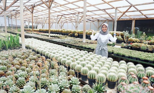 Rumah Bunga Rizal via IG @putrijunjungan, Informasi Dasar, Daya Tarik Lembang, Tempat Wisata di Lembang Bandung, Tempat Wisata di Lembang yang Sudah Tutup, Aktivitas Seru yang Wajib Dilakukan di Lembang, Akses Menuju Lembang