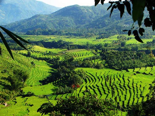 Tetebatu, 1. Wisata Tanjung Bloam, 2. Wisata Pantai Kaliantan, 3. Wisata Gili Sunut, 4. Wisata Tanjung Ringgit, 5. Wisata Goa Jepang, 6. Wisata Tanjung Perak dan Tanjung Cina, 7. Wisata Pantai Ekas, 8. Wisata Pantai Surga, 9. Wisata Gili Bagek atau Gili Kondo, 10. Wisata Gili Sulat, 11. Wisata Gili Lawang, 12. Wisata lembah Hijau, 13. Wisata Sembalun, 14. Wisata Air Terjun Temer, 15. Wisata Tele Batu, 16. Wisata Air Terjun Otak Kokog, 17. Wisata Air Terjun Mayung Putih, 18. Wisata Air Terjun Kaliage, 19. Wisata Air Terjun Ulem – Ulem, 20. Wisata Pantai Sungkun, 21. Wisata Pink Beach, 22. Wisata Rinjani dan Segara Anak, 23. Air Terjun Mangku Sakti, 24. Pohon Purba Pringgabaya