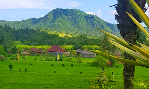 Wisata Cepik Sidemen, 1. Wisata Air Terjun Yeh Poh, 2. Wisata Bukit Asmara, 3. Wisata Air Terjun Telaga Waja, 4. Wisata Masjid Baiturrahman, 5. Wisata Pura Bukit Gumang, 6. Wisata Air Terjun Jagasatru, 7. Wisata Gunung Dwangga, 8. Wisata Air Terjun Tibu Kresek, 9. Wisata Pantai Balina, 10. Wisata Rumah Coklat, 11. Wisata Telaga Waja Rafting, 12. Wisata Bukit Putung, 13. Wisata Desa Iseh, 14. Wisata Pura Besakih, 15. Wisata Bukit Jambul, 16. Wisata Air Terjun Tibu Tengah, 17. Wisata Air Terjun Yeh Labuh, 18. Wisata Banjar Bukit Tabunan, 19. Wisata Cepik Sidemen, 20.  Wisata Pantai Wates, 21. Wisata Jembatan Kuning Yeh Unda, 22. Wisata Air Terjun Tibumati, 23. Wisata Bukit Nampo Sibetan, 24.  Wisata Dermaga Tanah Ampo, 25. Wisata Pantai Jasri, 26. Wisata bendungan Yeh Unda Hulu, 27. Wisata Pantai Labuan Jelung, 28. Wisata Pantai Ujung, 29. Wisata Kuliner sate Lilit, 30. Wisata Kuliner Nasi Sela, 31. Wisata Pantai Pasih Kelod, 32. Wisata White Sand Beach, 33. Wisata Rumah Bambu Pengalon, 34. Wisata Pantai Sosro, 35. Wisata Pura Dalem Puri, 36. Wisata Warung Sunset Point, 37. Wisata Pantai Bias Tugel, 38. Wisata Pura Candidasa, 39. Wisata Blue Lagoon Beach, 40. Wisata Pura Silayukti, 41. Wisata Kuliner Plecing Telengis, 42. Wisata Pura Lempuyang, 43. Wisata Pura Pasar Agung, 44. Wisata Pantai Labuan Amuk, 45.  Wisata Taman Soekasada, 46. Wisata Tenun Ikat Bali Arta Nadi, 47. Wisata Bukit Asah Bugbug, 48. Wisata Kampung Muslim Kecicang Islam, 49. Wisata Gunung Agung, 50. Wisata Pantai Virgin, 51. Lotus Lagoon Candidasa, 52. Wisata Tenganan Pegringsingan, 53. Wisata Yeh Malet, 54. Wisata Pantai Tapak Lawang, 55. Wisata Puri Agung Karangasem, 56. Wisata Tirta Gangga, 57. Wisata Padangbai, 58. Wisata Rumah Pohon, 59. Wisata Agrowisata Abian Salak, 60. Wisata Pantai Jemeluk, 61. Wisata Pantai Tulamben, 62. Ayunan Sidemen Bali, 63. Diving dan Snorkeling di Pantai Amed, 64. Air Terjun Batu Angsel, 65. Padang Bunga Kasna, 66. Ladang Bunga Gemitir, 67. Rumah Pohon Bukit Lemped