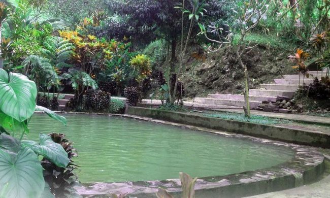 Wisata Air Panas Angseri, 1. Wisata Pura Ulun Danu Brata Bedugal, 2. Wisata Air Panas Angseri, 3. Wisata Air Panas Penatahan, 4. Wisata Air Panas Belulang, 5. Wisata Air Terjun Pujungan, 6. Wisata Pantai Beraban di Kediri, 7. Wisata Museum Subak, 8. Wisata Kebun Raya Bali, 9. Wisata Sawah Berundak Jatiluwih, 10. Wisata Danau Tamblingan, 11. Wisata Pantai Kedungu, 12. Wisata Pantai Soka Tabanan, 13. Wisata Pantai Pasut Tabanan, 14. Wisata Pantai Klecung, 15. Wisata Pantai Kelating, 16. Wisata Pantai Yeh Leh, 17. Wisata Kuliner Entil Pupuan, 18. Wisata Pantai Balian, 19. Wisata Hutan Monyet Alas Kedaton, 20. Wisata Patung Siwa Pura Malen, 21. Wisata Air Terjun Blahmantung, 22. Wisata Pantai Suraberata, 23. Wisata Pasar Kodok, 24. Wisata Kuliner Nasi sambel Bejek Matah, 25. Wisata Kuliner Nasi Angin, 26. Wisata Bedugul, 27. Wisata Pura Alas Kedaton Tabanan, 28. Wisata Pura Mekori Tabanan, 29. Wisata Pura Tanah Lot, 30. Wisata Puri Anyar Kerambitan, 31. Wisata Taman Kupu – Kupu, 32. Wisata Taman Pahlawan Margarana, 33. Wisata Kebun Buah Strawberry Bedugul, 34. Wisata Vihara Dharma Giri, 35. Wisata Pantai Nyanyi, 36. Wisata Puri Agung Kerambitan, 37. Wisata Pura Luhur Batukaru, 38. Wisata Lereng Gunung Batukaru, 39. Wisata Patung Leak Yeh Gangga, 40. Wisata Pantai Yeh Gangga, 41. Wisata Pura Batu Bolong, 42. Bali Tree Top Adventure Park, 43. Air Terjun Leke-leke, 44. Air Terjun Yeh Ho, 45. Air Terjun Blemantung, 46. Pantai Melasti Tabanan, 47. Sun Flowers Belayu, 48. Air Terjun Pengempu