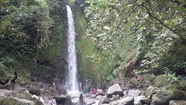 Wisata Air Terjun Batu Kawangan via Detik, 1. Wisata Pantai Selong Belanak, 2. Wisata Pantai Mawun, 3. Wisata Pantai Tanjung Aan, 4. Pantai Semeti, 5. Wisata Pantai Cemara, 6. Wisata Pantai Kuta, 7. Wisata Pantai Batu Katak, 8. Wisata Pantai Batu Payung, 9. Wisata Air Terjun Benang Kelambu, 10. Wisata Air Terjun Batu Kawangan, 11. Wisata Desa Adat Sade, 12. Wisata Kuliner Ayam Bakar Taliwang, 13. Wisata Pantai Merese, 14. Wisata Pantai Serenting, 15. Wisata Pantai Tunak, 16. Wisata Air Terjun Benang Stokel, 17. Wisata Kuliner Bebalung Lombok, 18. Pantai Gerupuk, 19. Belajar Menenun di Desa Sukarara, 20. Pantai Seger, 21. Desa Sade, 22. Taman Wisata Alam Gunung Tunak, 23. Gua Bangkang, 24. Pantai Tanjung Bongo