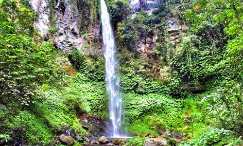 Wisata Air Terjun Pujungan, 1. Wisata Pura Ulun Danu Brata Bedugal, 2. Wisata Air Panas Angseri, 3. Wisata Air Panas Penatahan, 4. Wisata Air Panas Belulang, 5. Wisata Air Terjun Pujungan, 6. Wisata Pantai Beraban di Kediri, 7. Wisata Museum Subak, 8. Wisata Kebun Raya Bali, 9. Wisata Sawah Berundak Jatiluwih, 10. Wisata Danau Tamblingan, 11. Wisata Pantai Kedungu, 12. Wisata Pantai Soka Tabanan, 13. Wisata Pantai Pasut Tabanan, 14. Wisata Pantai Klecung, 15. Wisata Pantai Kelating, 16. Wisata Pantai Yeh Leh, 17. Wisata Kuliner Entil Pupuan, 18. Wisata Pantai Balian, 19. Wisata Hutan Monyet Alas Kedaton, 20. Wisata Patung Siwa Pura Malen, 21. Wisata Air Terjun Blahmantung, 22. Wisata Pantai Suraberata, 23. Wisata Pasar Kodok, 24. Wisata Kuliner Nasi sambel Bejek Matah, 25. Wisata Kuliner Nasi Angin, 26. Wisata Bedugul, 27. Wisata Pura Alas Kedaton Tabanan, 28. Wisata Pura Mekori Tabanan, 29. Wisata Pura Tanah Lot, 30. Wisata Puri Anyar Kerambitan, 31. Wisata Taman Kupu – Kupu, 32. Wisata Taman Pahlawan Margarana, 33. Wisata Kebun Buah Strawberry Bedugul, 34. Wisata Vihara Dharma Giri, 35. Wisata Pantai Nyanyi, 36. Wisata Puri Agung Kerambitan, 37. Wisata Pura Luhur Batukaru, 38. Wisata Lereng Gunung Batukaru, 39. Wisata Patung Leak Yeh Gangga, 40. Wisata Pantai Yeh Gangga, 41. Wisata Pura Batu Bolong, 42. Bali Tree Top Adventure Park, 43. Air Terjun Leke-leke, 44. Air Terjun Yeh Ho, 45. Air Terjun Blemantung, 46. Pantai Melasti Tabanan, 47. Sun Flowers Belayu, 48. Air Terjun Pengempu