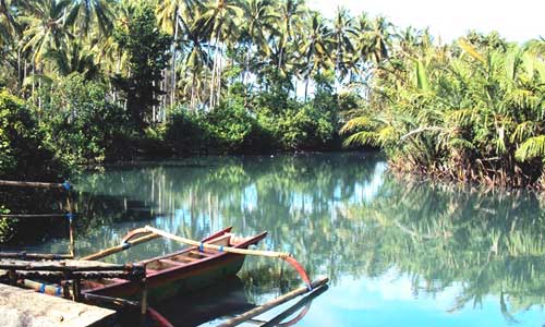 Wisata Air Tirta Lestari Gumbrih, 1. Pantai Perancak, 2. Wisata Pantai Medewi, 3. Pura Rambut Siwi, 4. Wisata Pantai Perancak Candikusuma, 5. Wisata Teluk Gilimanuk, 6. Wisata Monumen Lintas Laut Jawa – Bali, 7. Taman Nasional Bali Barat, 8. Wisata Bendungan Palasari, 9. Wisata Bunut Bolong, 10. Wisata Pantai Baluk Rening, 11. Wisata Pura Jati, 12. Wisata Pantai Delod Berawah, 13. Wisata Pantai Pengeragoan, 14. Wisata Pura Majapahit, 15. Wisata Museum Manusia Purba, 16. Wisata Air Tirta Lestari Gumbrih, 17. Wisata Desa Sangkaragung, 18. Wisata Rest Area Rambut Siwi, 19. Wisata Alun – Alun Jembrana, 20. Wisata Bendungan Benel, 21. Wisata Karang Sewu, 22. Wisata Desa Blimbing, 23. Wisata Makam Tua, 24. Wisata Rumah Panggung, 25. Wisata Kuliner Ayam Betutu, 26. Wisata Tukad Gelar, 27. Wisata Air Terjun Juwuk Manis, 28. Wisata Makepung, 29. Wisata Puncak Mawar, 30. Pantai Yeh Leh, 31. Pantai Yeh Kuning, 32. Pantai Candikusuma, 33. Wisata Pantai Pebuahan, 34. Wisata Taman Siwa, 35. Pelabuhan Perikanan Pengambengan, 36. Air Terjun Bidadari, 37. Wisata Pelabuhan Gilimanuk, 38. Puncak JR, 39. Wisata Green Cliff Yeh Embang Kangin, 40. Pantai Karang Impian, 41. Air Terjun Batu Belah Dewasana, 42. Waterpark Giri Buana, 43. Pura Jagatnatha