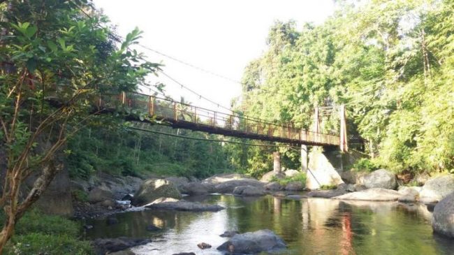 Wisata Alam Sungai Gelar via Kompasiana, 1. Pantai Perancak, 2. Wisata Pantai Medewi, 3. Pura Rambut Siwi, 4. Wisata Pantai Perancak Candikusuma, 5. Wisata Teluk Gilimanuk, 6. Wisata Monumen Lintas Laut Jawa – Bali, 7. Taman Nasional Bali Barat, 8. Wisata Bendungan Palasari, 9. Wisata Bunut Bolong, 10. Wisata Pantai Baluk Rening, 11. Wisata Pura Jati, 12. Wisata Pantai Delod Berawah, 13. Wisata Pantai Pengeragoan, 14. Wisata Pura Majapahit, 15. Wisata Museum Manusia Purba, 16. Wisata Air Tirta Lestari Gumbrih, 17. Wisata Desa Sangkaragung, 18. Wisata Rest Area Rambut Siwi, 19. Wisata Alun – Alun Jembrana, 20. Wisata Bendungan Benel, 21. Wisata Karang Sewu, 22. Wisata Desa Blimbing, 23. Wisata Makam Tua, 24. Wisata Rumah Panggung, 25. Wisata Kuliner Ayam Betutu, 26. Wisata Tukad Gelar, 27. Wisata Air Terjun Juwuk Manis, 28. Wisata Makepung, 29. Wisata Puncak Mawar, 30. Pantai Yeh Leh, 31. Pantai Yeh Kuning, 32. Pantai Candikusuma, 33. Wisata Pantai Pebuahan, 34. Wisata Taman Siwa, 35. Pelabuhan Perikanan Pengambengan, 36. Air Terjun Bidadari, 37. Wisata Pelabuhan Gilimanuk, 38. Puncak JR, 39. Wisata Green Cliff Yeh Embang Kangin, 40. Pantai Karang Impian, 41. Air Terjun Batu Belah Dewasana, 42. Waterpark Giri Buana, 43. Pura Jagatnatha