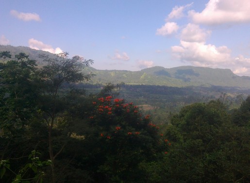 Wisata Bukit Asmara, 1. Wisata Air Terjun Yeh Poh, 2. Wisata Bukit Asmara, 3. Wisata Air Terjun Telaga Waja, 4. Wisata Masjid Baiturrahman, 5. Wisata Pura Bukit Gumang, 6. Wisata Air Terjun Jagasatru, 7. Wisata Gunung Dwangga, 8. Wisata Air Terjun Tibu Kresek, 9. Wisata Pantai Balina, 10. Wisata Rumah Coklat, 11. Wisata Telaga Waja Rafting, 12. Wisata Bukit Putung, 13. Wisata Desa Iseh, 14. Wisata Pura Besakih, 15. Wisata Bukit Jambul, 16. Wisata Air Terjun Tibu Tengah, 17. Wisata Air Terjun Yeh Labuh, 18. Wisata Banjar Bukit Tabunan, 19. Wisata Cepik Sidemen, 20.  Wisata Pantai Wates, 21. Wisata Jembatan Kuning Yeh Unda, 22. Wisata Air Terjun Tibumati, 23. Wisata Bukit Nampo Sibetan, 24.  Wisata Dermaga Tanah Ampo, 25. Wisata Pantai Jasri, 26. Wisata bendungan Yeh Unda Hulu, 27. Wisata Pantai Labuan Jelung, 28. Wisata Pantai Ujung, 29. Wisata Kuliner sate Lilit, 30. Wisata Kuliner Nasi Sela, 31. Wisata Pantai Pasih Kelod, 32. Wisata White Sand Beach, 33. Wisata Rumah Bambu Pengalon, 34. Wisata Pantai Sosro, 35. Wisata Pura Dalem Puri, 36. Wisata Warung Sunset Point, 37. Wisata Pantai Bias Tugel, 38. Wisata Pura Candidasa, 39. Wisata Blue Lagoon Beach, 40. Wisata Pura Silayukti, 41. Wisata Kuliner Plecing Telengis, 42. Wisata Pura Lempuyang, 43. Wisata Pura Pasar Agung, 44. Wisata Pantai Labuan Amuk, 45.  Wisata Taman Soekasada, 46. Wisata Tenun Ikat Bali Arta Nadi, 47. Wisata Bukit Asah Bugbug, 48. Wisata Kampung Muslim Kecicang Islam, 49. Wisata Gunung Agung, 50. Wisata Pantai Virgin, 51. Lotus Lagoon Candidasa, 52. Wisata Tenganan Pegringsingan, 53. Wisata Yeh Malet, 54. Wisata Pantai Tapak Lawang, 55. Wisata Puri Agung Karangasem, 56. Wisata Tirta Gangga, 57. Wisata Padangbai, 58. Wisata Rumah Pohon, 59. Wisata Agrowisata Abian Salak, 60. Wisata Pantai Jemeluk, 61. Wisata Pantai Tulamben, 62. Ayunan Sidemen Bali, 63. Diving dan Snorkeling di Pantai Amed, 64. Air Terjun Batu Angsel, 65. Padang Bunga Kasna, 66. Ladang Bunga Gemitir, 67. Rumah Pohon Bukit Lemped