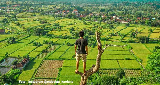 Wisata Bukit Belong Gunaksa via IG @mdbakta_kardana, 1. Wisata Dream Beach, 2. Wisata Pantai Jungut Batu, 3. Wisata Jembatan Gantung, 4. Wisata Goa Gala, 5. Wisata Pantai Selambung Lembongan, 6. Wisata Bukit Panorama Nusa Lembongan, 7. Wisata Mushroom Beach, 8. Pantai Toya Pakeh, 9. Wisata Nusa Penida, 10. Wisata Nusa Lembongan, 11. Anjungan Tukad Melangit, 12. Manta Point, 13. Wisata Nusa Ceningan, 14. Wisata Pantai Crystal Bay, 15. Wisata Pantai Atuh, 16. Wisata Pantai Pasih Uug, 17. Wisata Mata Air Seganing, 18. Wisata Tebing Blue Lagoon, 19. Wisata Hutan Mangrove Lembongan, 20. Wisata Pulau Seribu, 21. Wisata Pantai Banah, 22. Wisata Pantai Andus, 23. Wisata Devil’s Tear Lembongan, 24. Wisata Goa Giri Putri, 25. Wisata Labuan Ampuak, 26. Menikmati Betapa Indahnya Wisata Teluk Sebila, 27. Wisata Guyangan Mata Air, 28. Wisata Pantai Suwehan, 29. Wisata Pantai Kelingking, 30. Wisata Tembeling Water Spring, 31. Wisata Angel’s Billabong, 32. Wisata Pura Paluang, 33. Wisata Bukit Teletubbies di Nusa penida, 34. Wisata Pantai Lepang, 35. Wisata Desa Tihingan Penghasil Gong Artistik, 36. Wisata Taman Gili Kerta Gosa, 37. Wisata Pantai Watu Klotok, 38. Wisata Pura Goa Lawah, 39. Wisata Desa Kamasan, 40. Wisata Arum Jeram Sungai Melangit, 41. Wisata Pura Taman Sari, 42. Wisata Bukit Belong Gunaksa, 43. Wisata Museum Seni Lukis Klasik Nyoman Gunarsa, 44. Wisata Goa Jepang, 45. Wisata Museum Semarajaya, 46. Wisata Pantai Kusamba, 47. Wisata Air Terjun Tukad Unda, 48. Wisata Pasar Seni Kota Semarapura, 49. Wisata Lapangan Puputan Klungkung, 50. Wisata Monumen Puputan, 51. Wisata Pura Lembongan, 52. Tanjung Pandan, 53. Rumah Pohon Batu Molenteng, 54. Wisata Pohon Cinta Nusa penida, 55. Wisata Kuliner Bubur Ledok, 56. Wisata Kuliner Serombotan Klungkung