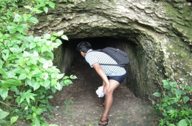 Wisata Goa Jepang, 1. Wisata Tanjung Bloam, 2. Wisata Pantai Kaliantan, 3. Wisata Gili Sunut, 4. Wisata Tanjung Ringgit, 5. Wisata Goa Jepang, 6. Wisata Tanjung Perak dan Tanjung Cina, 7. Wisata Pantai Ekas, 8. Wisata Pantai Surga, 9. Wisata Gili Bagek atau Gili Kondo, 10. Wisata Gili Sulat, 11. Wisata Gili Lawang, 12. Wisata lembah Hijau, 13. Wisata Sembalun, 14. Wisata Air Terjun Temer, 15. Wisata Tele Batu, 16. Wisata Air Terjun Otak Kokog, 17. Wisata Air Terjun Mayung Putih, 18. Wisata Air Terjun Kaliage, 19. Wisata Air Terjun Ulem – Ulem, 20. Wisata Pantai Sungkun, 21. Wisata Pink Beach, 22. Wisata Rinjani dan Segara Anak, 23. Air Terjun Mangku Sakti, 24. Pohon Purba Pringgabaya