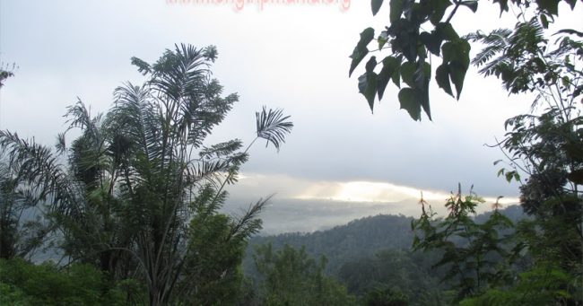 Wisata Gunung Dwangga, 1. Wisata Air Terjun Yeh Poh, 2. Wisata Bukit Asmara, 3. Wisata Air Terjun Telaga Waja, 4. Wisata Masjid Baiturrahman, 5. Wisata Pura Bukit Gumang, 6. Wisata Air Terjun Jagasatru, 7. Wisata Gunung Dwangga, 8. Wisata Air Terjun Tibu Kresek, 9. Wisata Pantai Balina, 10. Wisata Rumah Coklat, 11. Wisata Telaga Waja Rafting, 12. Wisata Bukit Putung, 13. Wisata Desa Iseh, 14. Wisata Pura Besakih, 15. Wisata Bukit Jambul, 16. Wisata Air Terjun Tibu Tengah, 17. Wisata Air Terjun Yeh Labuh, 18. Wisata Banjar Bukit Tabunan, 19. Wisata Cepik Sidemen, 20.  Wisata Pantai Wates, 21. Wisata Jembatan Kuning Yeh Unda, 22. Wisata Air Terjun Tibumati, 23. Wisata Bukit Nampo Sibetan, 24.  Wisata Dermaga Tanah Ampo, 25. Wisata Pantai Jasri, 26. Wisata bendungan Yeh Unda Hulu, 27. Wisata Pantai Labuan Jelung, 28. Wisata Pantai Ujung, 29. Wisata Kuliner sate Lilit, 30. Wisata Kuliner Nasi Sela, 31. Wisata Pantai Pasih Kelod, 32. Wisata White Sand Beach, 33. Wisata Rumah Bambu Pengalon, 34. Wisata Pantai Sosro, 35. Wisata Pura Dalem Puri, 36. Wisata Warung Sunset Point, 37. Wisata Pantai Bias Tugel, 38. Wisata Pura Candidasa, 39. Wisata Blue Lagoon Beach, 40. Wisata Pura Silayukti, 41. Wisata Kuliner Plecing Telengis, 42. Wisata Pura Lempuyang, 43. Wisata Pura Pasar Agung, 44. Wisata Pantai Labuan Amuk, 45.  Wisata Taman Soekasada, 46. Wisata Tenun Ikat Bali Arta Nadi, 47. Wisata Bukit Asah Bugbug, 48. Wisata Kampung Muslim Kecicang Islam, 49. Wisata Gunung Agung, 50. Wisata Pantai Virgin, 51. Lotus Lagoon Candidasa, 52. Wisata Tenganan Pegringsingan, 53. Wisata Yeh Malet, 54. Wisata Pantai Tapak Lawang, 55. Wisata Puri Agung Karangasem, 56. Wisata Tirta Gangga, 57. Wisata Padangbai, 58. Wisata Rumah Pohon, 59. Wisata Agrowisata Abian Salak, 60. Wisata Pantai Jemeluk, 61. Wisata Pantai Tulamben, 62. Ayunan Sidemen Bali, 63. Diving dan Snorkeling di Pantai Amed, 64. Air Terjun Batu Angsel, 65. Padang Bunga Kasna, 66. Ladang Bunga Gemitir, 67. Rumah Pohon Bukit Lemped