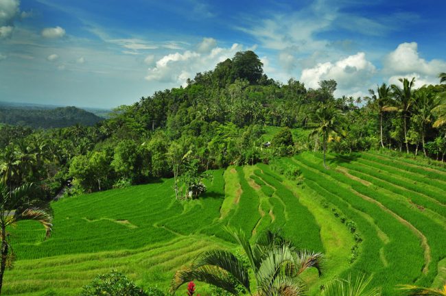 Wisata Desa Iseh via Jatayurental, 1. Wisata Air Terjun Yeh Poh, 2. Wisata Bukit Asmara, 3. Wisata Air Terjun Telaga Waja, 4. Wisata Masjid Baiturrahman, 5. Wisata Pura Bukit Gumang, 6. Wisata Air Terjun Jagasatru, 7. Wisata Gunung Dwangga, 8. Wisata Air Terjun Tibu Kresek, 9. Wisata Pantai Balina, 10. Wisata Rumah Coklat, 11. Wisata Telaga Waja Rafting, 12. Wisata Bukit Putung, 13. Wisata Desa Iseh, 14. Wisata Pura Besakih, 15. Wisata Bukit Jambul, 16. Wisata Air Terjun Tibu Tengah, 17. Wisata Air Terjun Yeh Labuh, 18. Wisata Banjar Bukit Tabunan, 19. Wisata Cepik Sidemen, 20.  Wisata Pantai Wates, 21. Wisata Jembatan Kuning Yeh Unda, 22. Wisata Air Terjun Tibumati, 23. Wisata Bukit Nampo Sibetan, 24.  Wisata Dermaga Tanah Ampo, 25. Wisata Pantai Jasri, 26. Wisata bendungan Yeh Unda Hulu, 27. Wisata Pantai Labuan Jelung, 28. Wisata Pantai Ujung, 29. Wisata Kuliner sate Lilit, 30. Wisata Kuliner Nasi Sela, 31. Wisata Pantai Pasih Kelod, 32. Wisata White Sand Beach, 33. Wisata Rumah Bambu Pengalon, 34. Wisata Pantai Sosro, 35. Wisata Pura Dalem Puri, 36. Wisata Warung Sunset Point, 37. Wisata Pantai Bias Tugel, 38. Wisata Pura Candidasa, 39. Wisata Blue Lagoon Beach, 40. Wisata Pura Silayukti, 41. Wisata Kuliner Plecing Telengis, 42. Wisata Pura Lempuyang, 43. Wisata Pura Pasar Agung, 44. Wisata Pantai Labuan Amuk, 45.  Wisata Taman Soekasada, 46. Wisata Tenun Ikat Bali Arta Nadi, 47. Wisata Bukit Asah Bugbug, 48. Wisata Kampung Muslim Kecicang Islam, 49. Wisata Gunung Agung, 50. Wisata Pantai Virgin, 51. Lotus Lagoon Candidasa, 52. Wisata Tenganan Pegringsingan, 53. Wisata Yeh Malet, 54. Wisata Pantai Tapak Lawang, 55. Wisata Puri Agung Karangasem, 56. Wisata Tirta Gangga, 57. Wisata Padangbai, 58. Wisata Rumah Pohon, 59. Wisata Agrowisata Abian Salak, 60. Wisata Pantai Jemeluk, 61. Wisata Pantai Tulamben, 62. Ayunan Sidemen Bali, 63. Diving dan Snorkeling di Pantai Amed, 64. Air Terjun Batu Angsel, 65. Padang Bunga Kasna, 66. Ladang Bunga Gemitir, 67. Rumah Pohon Bukit Lemped