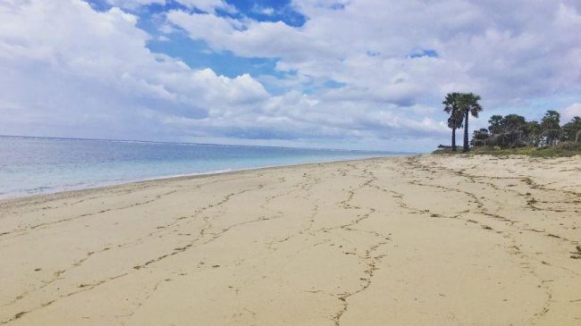 Wisata Koloudju via IG @stef.vedo, 1. Wisata Grand Canyon Kelabba Maja, 2. Pantai Bollow, 3. Pantai Lobohede, 4. Wisata Pantai Hailape, 5. Wisata Pantai Napae, 6. Wisata Pantai Bali, 7. Wisata Bukit Lede Pemulu, 8. Wisata Koloudju, 9. Wisata Huwaga, 10. Wisata Pantai Seba, 11. Wisata Gua Lie Mabala, 12. Pantai Ege, 13. Danau Lederaga, 14. Pantai Lederaga, 15. Pantai Rai Mea, 16. Bukit Salju, Wisata Alam Sabu Raijua, 17. Wisata Kampung Namata, Wisata Budaya Sabu Raijua, 18. Istana Teni Hawu, Wisata Sejarah Sabu Raijua 
