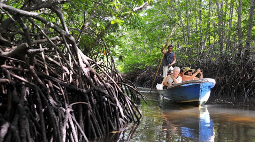 Wisata Hutan Mangrove Lembongan via Kkpgoid, 1. Wisata Dream Beach, 2. Wisata Pantai Jungut Batu, 3. Wisata Jembatan Gantung, 4. Wisata Goa Gala, 5. Wisata Pantai Selambung Lembongan, 6. Wisata Bukit Panorama Nusa Lembongan, 7. Wisata Mushroom Beach, 8. Pantai Toya Pakeh, 9. Wisata Nusa Penida, 10. Wisata Nusa Lembongan, 11. Anjungan Tukad Melangit, 12. Manta Point, 13. Wisata Nusa Ceningan, 14. Wisata Pantai Crystal Bay, 15. Wisata Pantai Atuh, 16. Wisata Pantai Pasih Uug, 17. Wisata Mata Air Seganing, 18. Wisata Tebing Blue Lagoon, 19. Wisata Hutan Mangrove Lembongan, 20. Wisata Pulau Seribu, 21. Wisata Pantai Banah, 22. Wisata Pantai Andus, 23. Wisata Devil’s Tear Lembongan, 24. Wisata Goa Giri Putri, 25. Wisata Labuan Ampuak, 26. Menikmati Betapa Indahnya Wisata Teluk Sebila, 27. Wisata Guyangan Mata Air, 28. Wisata Pantai Suwehan, 29. Wisata Pantai Kelingking, 30. Wisata Tembeling Water Spring, 31. Wisata Angel’s Billabong, 32. Wisata Pura Paluang, 33. Wisata Bukit Teletubbies di Nusa penida, 34. Wisata Pantai Lepang, 35. Wisata Desa Tihingan Penghasil Gong Artistik, 36. Wisata Taman Gili Kerta Gosa, 37. Wisata Pantai Watu Klotok, 38. Wisata Pura Goa Lawah, 39. Wisata Desa Kamasan, 40. Wisata Arum Jeram Sungai Melangit, 41. Wisata Pura Taman Sari, 42. Wisata Bukit Belong Gunaksa, 43. Wisata Museum Seni Lukis Klasik Nyoman Gunarsa, 44. Wisata Goa Jepang, 45. Wisata Museum Semarajaya, 46. Wisata Pantai Kusamba, 47. Wisata Air Terjun Tukad Unda, 48. Wisata Pasar Seni Kota Semarapura, 49. Wisata Lapangan Puputan Klungkung, 50. Wisata Monumen Puputan, 51. Wisata Pura Lembongan, 52. Tanjung Pandan, 53. Rumah Pohon Batu Molenteng, 54. Wisata Pohon Cinta Nusa penida, 55. Wisata Kuliner Bubur Ledok, 56. Wisata Kuliner Serombotan Klungkung