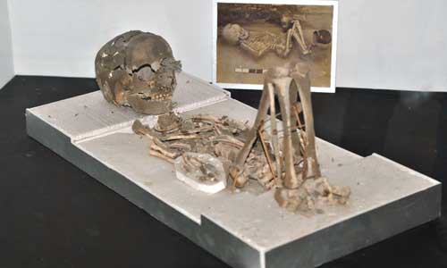 Wisata Museum Manusia Purba, 1. Pantai Perancak, 2. Wisata Pantai Medewi, 3. Pura Rambut Siwi, 4. Wisata Pantai Perancak Candikusuma, 5. Wisata Teluk Gilimanuk, 6. Wisata Monumen Lintas Laut Jawa – Bali, 7. Taman Nasional Bali Barat, 8. Wisata Bendungan Palasari, 9. Wisata Bunut Bolong, 10. Wisata Pantai Baluk Rening, 11. Wisata Pura Jati, 12. Wisata Pantai Delod Berawah, 13. Wisata Pantai Pengeragoan, 14. Wisata Pura Majapahit, 15. Wisata Museum Manusia Purba, 16. Wisata Air Tirta Lestari Gumbrih, 17. Wisata Desa Sangkaragung, 18. Wisata Rest Area Rambut Siwi, 19. Wisata Alun – Alun Jembrana, 20. Wisata Bendungan Benel, 21. Wisata Karang Sewu, 22. Wisata Desa Blimbing, 23. Wisata Makam Tua, 24. Wisata Rumah Panggung, 25. Wisata Kuliner Ayam Betutu, 26. Wisata Tukad Gelar, 27. Wisata Air Terjun Juwuk Manis, 28. Wisata Makepung, 29. Wisata Puncak Mawar, 30. Pantai Yeh Leh, 31. Pantai Yeh Kuning, 32. Pantai Candikusuma, 33. Wisata Pantai Pebuahan, 34. Wisata Taman Siwa, 35. Pelabuhan Perikanan Pengambengan, 36. Air Terjun Bidadari, 37. Wisata Pelabuhan Gilimanuk, 38. Puncak JR, 39. Wisata Green Cliff Yeh Embang Kangin, 40. Pantai Karang Impian, 41. Air Terjun Batu Belah Dewasana, 42. Waterpark Giri Buana, 43. Pura Jagatnatha