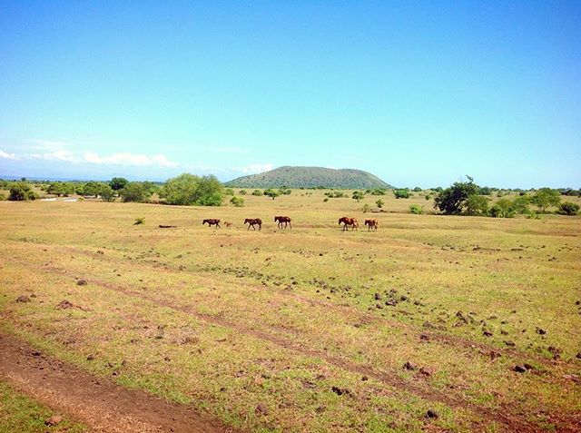 Wisata Padang Savana Doro Ncanga via IG, 1. Wisata Pulau Satonda, 2. Wisata Gunung Tambora, 3. Wisata Padang Savana Doro Ncanga, 4. Wisata Bukit Matompo, 5. Wisata Nisa Pudu, Wisata Teluk Saleh nan Tropis, 6. Wisata Air Terjun Di Sori Oi Marai, 7. Wisata Pantai Hodo, 8. Wisata Air Terjun Panca Saneo, 9. Wisata Masjid Baiturrahman Dompu, 10. Wisata Pantai Ria, 11. Wisata Air Terjun Kancira, 12. Wisata Bendungan Mila, 13. Wisata Rora, 14. Wisata Air Terjun Walet Putih, 15. Wisata Ncanga Tolu, 16. Wisata Pantai Lakey, 17. Bukit Sultan, 18. Air Terjun Sori Panca, 19. Pantai Wadu Jao