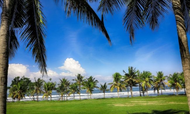 Wisata Pantai Medewi, 1. Pantai Perancak, 2. Wisata Pantai Medewi, 3. Pura Rambut Siwi, 4. Wisata Pantai Perancak Candikusuma, 5. Wisata Teluk Gilimanuk, 6. Wisata Monumen Lintas Laut Jawa – Bali, 7. Taman Nasional Bali Barat, 8. Wisata Bendungan Palasari, 9. Wisata Bunut Bolong, 10. Wisata Pantai Baluk Rening, 11. Wisata Pura Jati, 12. Wisata Pantai Delod Berawah, 13. Wisata Pantai Pengeragoan, 14. Wisata Pura Majapahit, 15. Wisata Museum Manusia Purba, 16. Wisata Air Tirta Lestari Gumbrih, 17. Wisata Desa Sangkaragung, 18. Wisata Rest Area Rambut Siwi, 19. Wisata Alun – Alun Jembrana, 20. Wisata Bendungan Benel, 21. Wisata Karang Sewu, 22. Wisata Desa Blimbing, 23. Wisata Makam Tua, 24. Wisata Rumah Panggung, 25. Wisata Kuliner Ayam Betutu, 26. Wisata Tukad Gelar, 27. Wisata Air Terjun Juwuk Manis, 28. Wisata Makepung, 29. Wisata Puncak Mawar, 30. Pantai Yeh Leh, 31. Pantai Yeh Kuning, 32. Pantai Candikusuma, 33. Wisata Pantai Pebuahan, 34. Wisata Taman Siwa, 35. Pelabuhan Perikanan Pengambengan, 36. Air Terjun Bidadari, 37. Wisata Pelabuhan Gilimanuk, 38. Puncak JR, 39. Wisata Green Cliff Yeh Embang Kangin, 40. Pantai Karang Impian, 41. Air Terjun Batu Belah Dewasana, 42. Waterpark Giri Buana, 43. Pura Jagatnatha