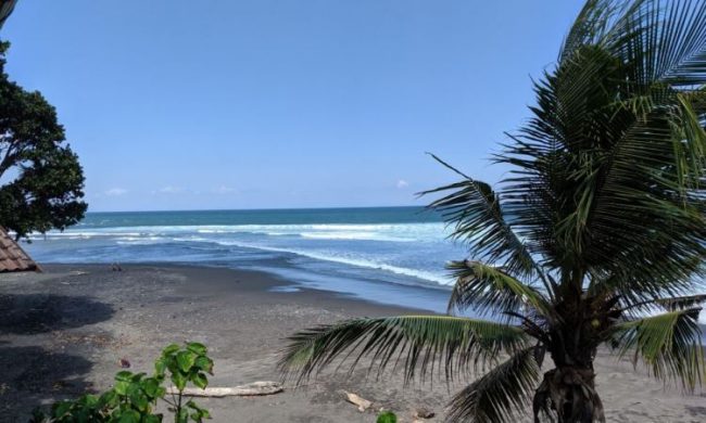 Wisata Pantai Balian, 1. Wisata Pura Ulun Danu Brata Bedugal, 2. Wisata Air Panas Angseri, 3. Wisata Air Panas Penatahan, 4. Wisata Air Panas Belulang, 5. Wisata Air Terjun Pujungan, 6. Wisata Pantai Beraban di Kediri, 7. Wisata Museum Subak, 8. Wisata Kebun Raya Bali, 9. Wisata Sawah Berundak Jatiluwih, 10. Wisata Danau Tamblingan, 11. Wisata Pantai Kedungu, 12. Wisata Pantai Soka Tabanan, 13. Wisata Pantai Pasut Tabanan, 14. Wisata Pantai Klecung, 15. Wisata Pantai Kelating, 16. Wisata Pantai Yeh Leh, 17. Wisata Kuliner Entil Pupuan, 18. Wisata Pantai Balian, 19. Wisata Hutan Monyet Alas Kedaton, 20. Wisata Patung Siwa Pura Malen, 21. Wisata Air Terjun Blahmantung, 22. Wisata Pantai Suraberata, 23. Wisata Pasar Kodok, 24. Wisata Kuliner Nasi sambel Bejek Matah, 25. Wisata Kuliner Nasi Angin, 26. Wisata Bedugul, 27. Wisata Pura Alas Kedaton Tabanan, 28. Wisata Pura Mekori Tabanan, 29. Wisata Pura Tanah Lot, 30. Wisata Puri Anyar Kerambitan, 31. Wisata Taman Kupu – Kupu, 32. Wisata Taman Pahlawan Margarana, 33. Wisata Kebun Buah Strawberry Bedugul, 34. Wisata Vihara Dharma Giri, 35. Wisata Pantai Nyanyi, 36. Wisata Puri Agung Kerambitan, 37. Wisata Pura Luhur Batukaru, 38. Wisata Lereng Gunung Batukaru, 39. Wisata Patung Leak Yeh Gangga, 40. Wisata Pantai Yeh Gangga, 41. Wisata Pura Batu Bolong, 42. Bali Tree Top Adventure Park, 43. Air Terjun Leke-leke, 44. Air Terjun Yeh Ho, 45. Air Terjun Blemantung, 46. Pantai Melasti Tabanan, 47. Sun Flowers Belayu, 48. Air Terjun Pengempu