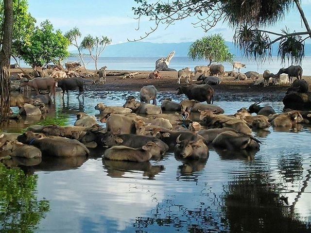 Wisata Pantai Hodo via IG, 1. Wisata Pulau Satonda, 2. Wisata Gunung Tambora, 3. Wisata Padang Savana Doro Ncanga, 4. Wisata Bukit Matompo, 5. Wisata Nisa Pudu, Wisata Teluk Saleh nan Tropis, 6. Wisata Air Terjun Di Sori Oi Marai, 7. Wisata Pantai Hodo, 8. Wisata Air Terjun Panca Saneo, 9. Wisata Masjid Baiturrahman Dompu, 10. Wisata Pantai Ria, 11. Wisata Air Terjun Kancira, 12. Wisata Bendungan Mila, 13. Wisata Rora, 14. Wisata Air Terjun Walet Putih, 15. Wisata Ncanga Tolu, 16. Wisata Pantai Lakey, 17. Bukit Sultan, 18. Air Terjun Sori Panca, 19. Pantai Wadu Jao