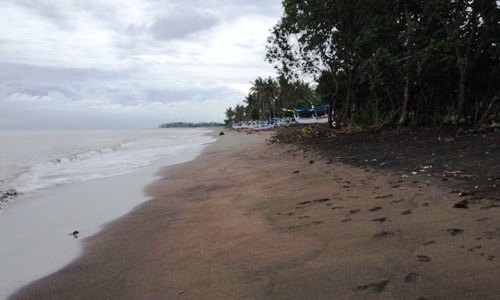 Wisata Pantai Perancak Candikusuma, 1. Pantai Perancak, 2. Wisata Pantai Medewi, 3. Pura Rambut Siwi, 4. Wisata Pantai Perancak Candikusuma, 5. Wisata Teluk Gilimanuk, 6. Wisata Monumen Lintas Laut Jawa – Bali, 7. Taman Nasional Bali Barat, 8. Wisata Bendungan Palasari, 9. Wisata Bunut Bolong, 10. Wisata Pantai Baluk Rening, 11. Wisata Pura Jati, 12. Wisata Pantai Delod Berawah, 13. Wisata Pantai Pengeragoan, 14. Wisata Pura Majapahit, 15. Wisata Museum Manusia Purba, 16. Wisata Air Tirta Lestari Gumbrih, 17. Wisata Desa Sangkaragung, 18. Wisata Rest Area Rambut Siwi, 19. Wisata Alun – Alun Jembrana, 20. Wisata Bendungan Benel, 21. Wisata Karang Sewu, 22. Wisata Desa Blimbing, 23. Wisata Makam Tua, 24. Wisata Rumah Panggung, 25. Wisata Kuliner Ayam Betutu, 26. Wisata Tukad Gelar, 27. Wisata Air Terjun Juwuk Manis, 28. Wisata Makepung, 29. Wisata Puncak Mawar, 30. Pantai Yeh Leh, 31. Pantai Yeh Kuning, 32. Pantai Candikusuma, 33. Wisata Pantai Pebuahan, 34. Wisata Taman Siwa, 35. Pelabuhan Perikanan Pengambengan, 36. Air Terjun Bidadari, 37. Wisata Pelabuhan Gilimanuk, 38. Puncak JR, 39. Wisata Green Cliff Yeh Embang Kangin, 40. Pantai Karang Impian, 41. Air Terjun Batu Belah Dewasana, 42. Waterpark Giri Buana, 43. Pura Jagatnatha