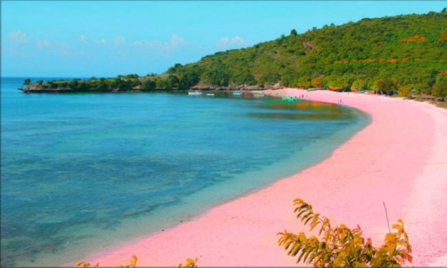 Wisata Pantai Pink, 1. Wisata Cagar Budaya Uma Lengge, 2. Wisata Bukit Pundu Nence, 3. Wisata Pulau Ular, 4. Wisata Pantai Wane, 5. Wisata Pantai Kalaki, 6. Wisata Pantai Lariti, 7. Wisata Pantai Lawata, 8. Wisata Pantai Rontu, 9. Wisata Pantai Pink, 10. Wisata Pantai Labangka, 11. Wisata Pulau Kelapa, 12. Wisata Tanjung Meriam, 13. Wisata Pantai Papa, 14. Wisata Pantai Torowamba, 15. Wisata Pantai So Dau, 16. Wisata Pantai Oi Caba, 17. Wisata Sungai Kalate Ndira, 18. Wisata Air Terjun Busu, 19. Wisata Gunung Tambora, 20. Bukit Pundu Nence, 21. Wisata Bukit Matompo, 22. Wisata Pantai Wadu Baba, 23. Wisata Pulau Sangeang, 24. Wisata Museum Asi Mbojo, 25. Wisata Air Terjun Bombo Roi, 26. Wisata Gua Ringi Ncanga, 27. Wisata Pulau Kambing, 28. Pantai Lawoli, 29. Pantai So Numbe, 30. Dermaga TPI, 31. Air Terjun Kalemba, 32. Air Terjun Bombo Ntonggu, 33. Pemandian Madapangga