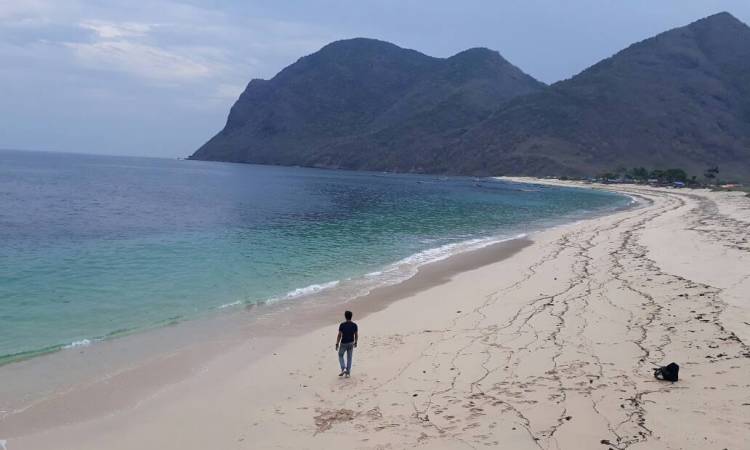 Wisata Pantai Rotu via Globatfmlombok, 1. Wisata Cagar Budaya Uma Lengge, 2. Wisata Bukit Pundu Nence, 3. Wisata Pulau Ular, 4. Wisata Pantai Wane, 5. Wisata Pantai Kalaki, 6. Wisata Pantai Lariti, 7. Wisata Pantai Lawata, 8. Wisata Pantai Rontu, 9. Wisata Pantai Pink, 10. Wisata Pantai Labangka, 11. Wisata Pulau Kelapa, 12. Wisata Tanjung Meriam, 13. Wisata Pantai Papa, 14. Wisata Pantai Torowamba, 15. Wisata Pantai So Dau, 16. Wisata Pantai Oi Caba, 17. Wisata Sungai Kalate Ndira, 18. Wisata Air Terjun Busu, 19. Wisata Gunung Tambora, 20. Bukit Pundu Nence, 21. Wisata Bukit Matompo, 22. Wisata Pantai Wadu Baba, 23. Wisata Pulau Sangeang, 24. Wisata Museum Asi Mbojo, 25. Wisata Air Terjun Bombo Roi, 26. Wisata Gua Ringi Ncanga, 27. Wisata Pulau Kambing, 28. Pantai Lawoli, 29. Pantai So Numbe, 30. Dermaga TPI, 31. Air Terjun Kalemba, 32. Air Terjun Bombo Ntonggu, 33. Pemandian Madapangga