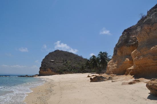 Wisata Pantai Surga, 1. Wisata Tanjung Bloam, 2. Wisata Pantai Kaliantan, 3. Wisata Gili Sunut, 4. Wisata Tanjung Ringgit, 5. Wisata Goa Jepang, 6. Wisata Tanjung Perak dan Tanjung Cina, 7. Wisata Pantai Ekas, 8. Wisata Pantai Surga, 9. Wisata Gili Bagek atau Gili Kondo, 10. Wisata Gili Sulat, 11. Wisata Gili Lawang, 12. Wisata lembah Hijau, 13. Wisata Sembalun, 14. Wisata Air Terjun Temer, 15. Wisata Tele Batu, 16. Wisata Air Terjun Otak Kokog, 17. Wisata Air Terjun Mayung Putih, 18. Wisata Air Terjun Kaliage, 19. Wisata Air Terjun Ulem – Ulem, 20. Wisata Pantai Sungkun, 21. Wisata Pink Beach, 22. Wisata Rinjani dan Segara Anak, 23. Air Terjun Mangku Sakti, 24. Pohon Purba Pringgabaya
