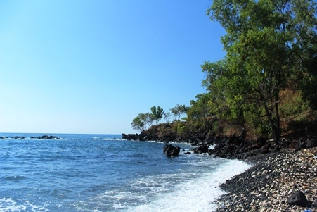 Wisata Pantai Tapak Lawang, 1. Wisata Air Terjun Yeh Poh, 2. Wisata Bukit Asmara, 3. Wisata Air Terjun Telaga Waja, 4. Wisata Masjid Baiturrahman, 5. Wisata Pura Bukit Gumang, 6. Wisata Air Terjun Jagasatru, 7. Wisata Gunung Dwangga, 8. Wisata Air Terjun Tibu Kresek, 9. Wisata Pantai Balina, 10. Wisata Rumah Coklat, 11. Wisata Telaga Waja Rafting, 12. Wisata Bukit Putung, 13. Wisata Desa Iseh, 14. Wisata Pura Besakih, 15. Wisata Bukit Jambul, 16. Wisata Air Terjun Tibu Tengah, 17. Wisata Air Terjun Yeh Labuh, 18. Wisata Banjar Bukit Tabunan, 19. Wisata Cepik Sidemen, 20.  Wisata Pantai Wates, 21. Wisata Jembatan Kuning Yeh Unda, 22. Wisata Air Terjun Tibumati, 23. Wisata Bukit Nampo Sibetan, 24.  Wisata Dermaga Tanah Ampo, 25. Wisata Pantai Jasri, 26. Wisata bendungan Yeh Unda Hulu, 27. Wisata Pantai Labuan Jelung, 28. Wisata Pantai Ujung, 29. Wisata Kuliner sate Lilit, 30. Wisata Kuliner Nasi Sela, 31. Wisata Pantai Pasih Kelod, 32. Wisata White Sand Beach, 33. Wisata Rumah Bambu Pengalon, 34. Wisata Pantai Sosro, 35. Wisata Pura Dalem Puri, 36. Wisata Warung Sunset Point, 37. Wisata Pantai Bias Tugel, 38. Wisata Pura Candidasa, 39. Wisata Blue Lagoon Beach, 40. Wisata Pura Silayukti, 41. Wisata Kuliner Plecing Telengis, 42. Wisata Pura Lempuyang, 43. Wisata Pura Pasar Agung, 44. Wisata Pantai Labuan Amuk, 45.  Wisata Taman Soekasada, 46. Wisata Tenun Ikat Bali Arta Nadi, 47. Wisata Bukit Asah Bugbug, 48. Wisata Kampung Muslim Kecicang Islam, 49. Wisata Gunung Agung, 50. Wisata Pantai Virgin, 51. Lotus Lagoon Candidasa, 52. Wisata Tenganan Pegringsingan, 53. Wisata Yeh Malet, 54. Wisata Pantai Tapak Lawang, 55. Wisata Puri Agung Karangasem, 56. Wisata Tirta Gangga, 57. Wisata Padangbai, 58. Wisata Rumah Pohon, 59. Wisata Agrowisata Abian Salak, 60. Wisata Pantai Jemeluk, 61. Wisata Pantai Tulamben, 62. Ayunan Sidemen Bali, 63. Diving dan Snorkeling di Pantai Amed, 64. Air Terjun Batu Angsel, 65. Padang Bunga Kasna, 66. Ladang Bunga Gemitir, 67. Rumah Pohon Bukit Lemped