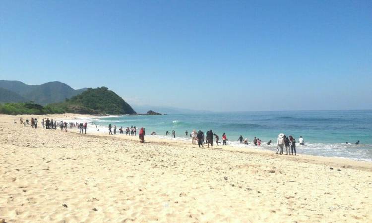 Wisata Pantai Wane via Wartantb, 1. Wisata Cagar Budaya Uma Lengge, 2. Wisata Bukit Pundu Nence, 3. Wisata Pulau Ular, 4. Wisata Pantai Wane, 5. Wisata Pantai Kalaki, 6. Wisata Pantai Lariti, 7. Wisata Pantai Lawata, 8. Wisata Pantai Rontu, 9. Wisata Pantai Pink, 10. Wisata Pantai Labangka, 11. Wisata Pulau Kelapa, 12. Wisata Tanjung Meriam, 13. Wisata Pantai Papa, 14. Wisata Pantai Torowamba, 15. Wisata Pantai So Dau, 16. Wisata Pantai Oi Caba, 17. Wisata Sungai Kalate Ndira, 18. Wisata Air Terjun Busu, 19. Wisata Gunung Tambora, 20. Bukit Pundu Nence, 21. Wisata Bukit Matompo, 22. Wisata Pantai Wadu Baba, 23. Wisata Pulau Sangeang, 24. Wisata Museum Asi Mbojo, 25. Wisata Air Terjun Bombo Roi, 26. Wisata Gua Ringi Ncanga, 27. Wisata Pulau Kambing, 28. Pantai Lawoli, 29. Pantai So Numbe, 30. Dermaga TPI, 31. Air Terjun Kalemba, 32. Air Terjun Bombo Ntonggu, 33. Pemandian Madapangga