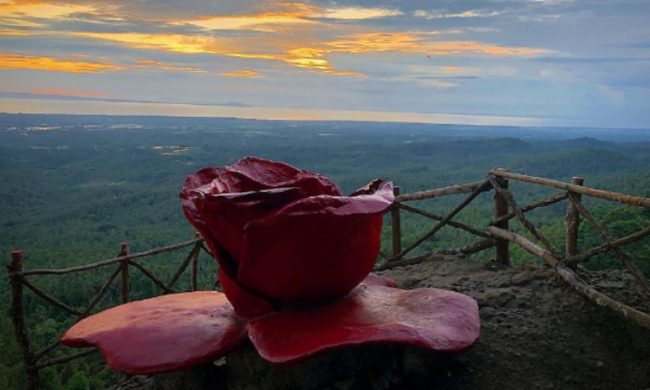 Wisata Puncak Mawar, 1. Pantai Perancak, 2. Wisata Pantai Medewi, 3. Pura Rambut Siwi, 4. Wisata Pantai Perancak Candikusuma, 5. Wisata Teluk Gilimanuk, 6. Wisata Monumen Lintas Laut Jawa – Bali, 7. Taman Nasional Bali Barat, 8. Wisata Bendungan Palasari, 9. Wisata Bunut Bolong, 10. Wisata Pantai Baluk Rening, 11. Wisata Pura Jati, 12. Wisata Pantai Delod Berawah, 13. Wisata Pantai Pengeragoan, 14. Wisata Pura Majapahit, 15. Wisata Museum Manusia Purba, 16. Wisata Air Tirta Lestari Gumbrih, 17. Wisata Desa Sangkaragung, 18. Wisata Rest Area Rambut Siwi, 19. Wisata Alun – Alun Jembrana, 20. Wisata Bendungan Benel, 21. Wisata Karang Sewu, 22. Wisata Desa Blimbing, 23. Wisata Makam Tua, 24. Wisata Rumah Panggung, 25. Wisata Kuliner Ayam Betutu, 26. Wisata Tukad Gelar, 27. Wisata Air Terjun Juwuk Manis, 28. Wisata Makepung, 29. Wisata Puncak Mawar, 30. Pantai Yeh Leh, 31. Pantai Yeh Kuning, 32. Pantai Candikusuma, 33. Wisata Pantai Pebuahan, 34. Wisata Taman Siwa, 35. Pelabuhan Perikanan Pengambengan, 36. Air Terjun Bidadari, 37. Wisata Pelabuhan Gilimanuk, 38. Puncak JR, 39. Wisata Green Cliff Yeh Embang Kangin, 40. Pantai Karang Impian, 41. Air Terjun Batu Belah Dewasana, 42. Waterpark Giri Buana, 43. Pura Jagatnatha