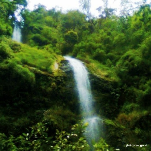Air Terjun Cuncang Ntangis via IG @nttprov.go.id - tempat wisata di Manggarai Timur, 1. Air Terjun Wae Lekot, 2. Menyaksikan Matahari Terbit di Bukit Golo Ndalo, 3. Wisata Pantai Mausui, 4. Wisata Pantai Mbolata, 5. Danau Rana Mese, 6. Wisata Pantai Liang Bala, 7. Wisata Borong, 8. Wisata Cepiwatu Beach, 9. Wisata Kampung Jawang, 10. Wisata Poco Mandasawu, 11. Padang Sabana Mausui, 12. Wisata Cunca Rede, 13. Wisata Lembor Manggarai Barat, 14. Gua Maria Cingcoleng, 15. Air Terjun Cuncang Ntangis, 16. Gunung Poco Ndeki, 17. Wisata Pantai Mabaruju, 18. Wisata Pantai Sawah Garam