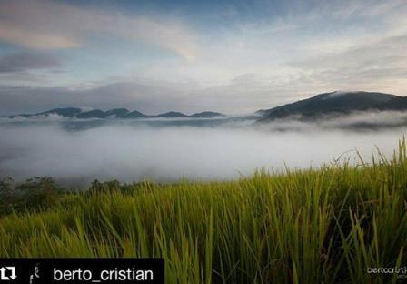 Bukit Kedungkang via IG @berto_cristian, 1. Taman Nasional Betung Kerihun, 2. Taman Nasional Danau Sentarum, 3. Danau Empangau, 4. Mupa Kencana atau Danau Piangkuak, 5. Danau Buak, 6. Air Terjun Medang Pulang, 7. Goa Beluan, 8. Pusaka Tunggal, 9. Gurung Makai, 10. Bukit Semujan, 11. Sarai Ngeri, 12. Air Terjun Biyu, 13. Bukit Sunan, 14. Air Terjun Gansir, 15. Gurung Gadai, 16. Gurung Peranggai, 17. Air Terjun Gurung Sepangin , 18. Hulu Tubuk, 19. Danau Sekawi, 20. Lubuk Semah, 21. Riam Rantau Kalis, 22. Bukit Ampan, 23. Bukit Kedungkang, 24. Sarai Biang, 25. Pulau Begansar, 26. Riam Teset, 27. Bukit Tekenang, 28. Bukit Tilung, 29. Jembatan Gantung Dusun Meliung, 30. Air Terjun Riam Teset, 31. Air Terjun Lempiang, 32. Air Terjun Riam Matu, 33. Kolam Bunga Lita, 34. Riam Kihung, 35. Danau Blairam, 36. Bukit Kulat, 37. Gurung Duayak, 38. Danau Merebung, 39. Rumah Betang Sungai Utik, 40. Rumah Betang Melapi, 41. Masjid At-Taqwa Selimbau, 42. Sungai Kapuas, 43. Air Terjun Saray Brunyau