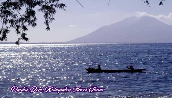 Pantai Deri - Tempat Wisata Di Flores Timur, 1. Wisata Taman Bukit Fatimah, 2. Wisata Danau Asmara, 3. Wisata Pelabuhan Larantuka, 4. Wisata Istana Raja Larantuka, 5. Wisata Pulau Konga, 6. Wisata Pulau Adonara, 7. Wisata Pulau Solor, 8. Wisata Danau Waibelen, 9. Wisata Pantai Asam Satu, 10. Wisata Pantai Weri, 11. Wisata Pantai Kawaliwu, 12. Wisata Pantai Rako, 13. Wisata Pantai Ina Burak, 14. Wisata Pantai Lagaloe, 15. Wisata Pantai Neren Watotena, 16. Wisata Pantai Nuha, 17. Wisata Gunung Ile Mandiri, 18. Wisata Pemandian Air Panas Mokantarak, 19. Wisata Desa Wae Rebo, 20. Wisata Air Terjun Cunca Wulang, 21. Pantai Paihaka, 22. Pantai Watohari, 23. Pantai Deri, 24. Pantai Tanjung Bunga, 25. Pantai Kahale