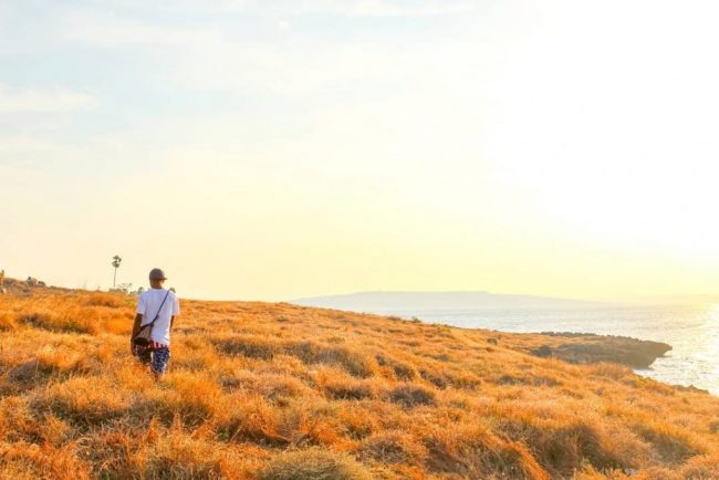 Padang Savana di Pantai Namosain via IG @kakanona17, 1. Pantai Batu Nona Kupang, 2. Wisata Pantai Lasiana, 3. Wisata Pantai Nunsui, 4. Wisata Pantai Manikin, 5. Wisata Pantai Tablolong, 6. Wisata Pantai Pasir Panjang, 7. Wisata Pantai Koepan, 8. Wisata Pantai Kelapa Tinggi, 9. Wisata Pantai Neam, 10. Wisata Pulau Kera, 11. Wisata Air Terjun Oenesu, 12. Wisata Air Terjun Tesbatan, 13. Wisata Taman Nostalgia, 14. Wisata Pantai Ketapang Satu, 15. Wisata Taman Rekreasi Gua Monyet, 16. Wisata Gua Kristal, 17. Wisata Kupang Waterpark, 18. Wisata Subasuka Waterpark, 19. Wisata Bukit Cinta, 20. Wisata Gunung Fatule’u, 21. Wisata Pantai Oesapa, 22. Padang Savana di Pantai Namosain