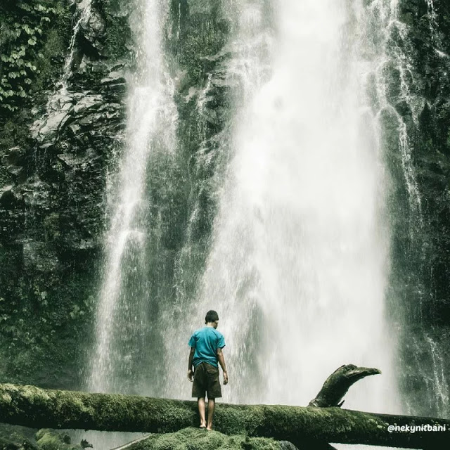 Wisata Cunca Rede via IG @nekynitbani - tempat wisata di Manggarai Timur, 1. Air Terjun Wae Lekot, 2. Menyaksikan Matahari Terbit di Bukit Golo Ndalo, 3. Wisata Pantai Mausui, 4. Wisata Pantai Mbolata, 5. Danau Rana Mese, 6. Wisata Pantai Liang Bala, 7. Wisata Borong, 8. Wisata Cepiwatu Beach, 9. Wisata Kampung Jawang, 10. Wisata Poco Mandasawu, 11. Padang Sabana Mausui, 12. Wisata Cunca Rede, 13. Wisata Lembor Manggarai Barat, 14. Gua Maria Cingcoleng, 15. Air Terjun Cuncang Ntangis, 16. Gunung Poco Ndeki, 17. Wisata Pantai Mabaruju, 18. Wisata Pantai Sawah Garam