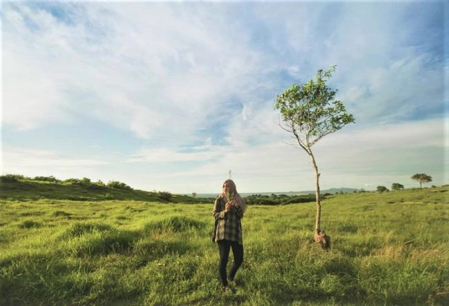 Wisata Bukit Cinta via IG @nekynitbani, 1. Pantai Batu Nona Kupang, 2. Wisata Pantai Lasiana, 3. Wisata Pantai Nunsui, 4. Wisata Pantai Manikin, 5. Wisata Pantai Tablolong, 6. Wisata Pantai Pasir Panjang, 7. Wisata Pantai Koepan, 8. Wisata Pantai Kelapa Tinggi, 9. Wisata Pantai Neam, 10. Wisata Pulau Kera, 11. Wisata Air Terjun Oenesu, 12. Wisata Air Terjun Tesbatan, 13. Wisata Taman Nostalgia, 14. Wisata Pantai Ketapang Satu, 15. Wisata Taman Rekreasi Gua Monyet, 16. Wisata Gua Kristal, 17. Wisata Kupang Waterpark, 18. Wisata Subasuka Waterpark, 19. Wisata Bukit Cinta, 20. Wisata Gunung Fatule’u, 21. Wisata Pantai Oesapa, 22. Padang Savana di Pantai Namosain