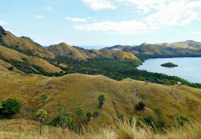 Wisata Bukit Cinta via Kabarwisata, 1. Wisata Taman Nasional Pulau Komodo, 2. Wisata Danau Kelimutu, 3. Wisata Pantai Lasiana, 4. Wisata Pulau Padar, 5. Wisata Pulau Kera, 6. Wisata Labuan Bajo, 7. Wisata Pantai Neam, 8. Wisata Danau Sano Nggoang, 9. Wisata Pulau Alor, 10. Wisata Rumah Adat dan Pasola, 11. Wisata Pink Beach, 12. Wisata Air Terjun Oenesu, 13. Wisata Benteng Makes, 14. Wisata Air Terjun Noelaku, 15. Wisata Pulau Kanawa, 16. Wisata Goa Batu Cermin, 17. Wisata Gili Laba, 18. Wisata Air Terjun Cuaca Wulang, 19. Wisata Air Terjun Weikelo Sawah, 20. Wisata Air Terjun Tanggedu, 21. Wisata Pulau Semau, 22. Wisata Pantai Batu Biru, 23. Wisata Air Panas Mengeruda, 24. Wisata Bukit Cinta, 25. Wisata Gunung Mutis, 26. Wisata Pantai Nembrala, 27. Wisata Pulau Riung, 28. Wisata Pantai Kolbano, 29. Wisata Pantai Timor, 30. Wisata Pantai Pasir Panjang