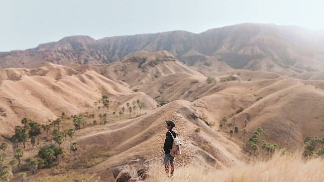 Wisata Bukit Wade via IG @lembatamanile, 1. Wisata Pantai Bean, 2. Wisata Pantai Lewolein, 3. Wisata Pantai Waijarang, 4. Wisata Pantai Mingar, 5. Wisata Air Terjun Lodovavo Atawuwur, 6. Wisata Tanjung Nuhanera, 7. Wisata Dapur Alam Watuwawer, 8. Wisata Desa Nelayan Lamalera, 9. Wisata Taman Daun Lewoleba, 10. Wisata Bukit Cinta Waijarang, 11. Wisata Batu Payung, 12. Wisata Pulau Siput, 13. Wisata Bukit Wade, 14. Bukit Doa Watomiten