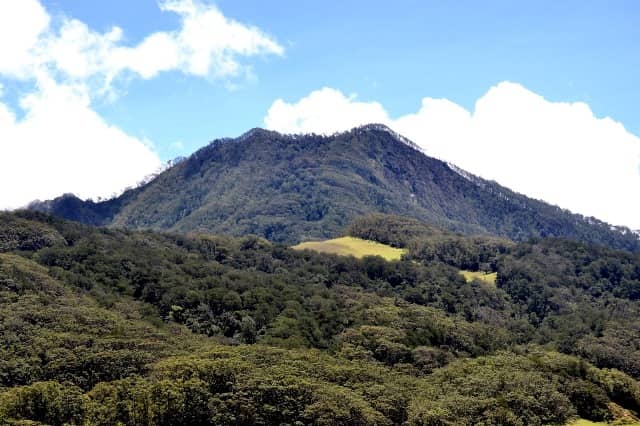 Wisata Gunung Mutis via Destinasintt, 1. Wisata Taman Nasional Pulau Komodo, 2. Wisata Danau Kelimutu, 3. Wisata Pantai Lasiana, 4. Wisata Pulau Padar, 5. Wisata Pulau Kera, 6. Wisata Labuan Bajo, 7. Wisata Pantai Neam, 8. Wisata Danau Sano Nggoang, 9. Wisata Pulau Alor, 10. Wisata Rumah Adat dan Pasola, 11. Wisata Pink Beach, 12. Wisata Air Terjun Oenesu, 13. Wisata Benteng Makes, 14. Wisata Air Terjun Noelaku, 15. Wisata Pulau Kanawa, 16. Wisata Goa Batu Cermin, 17. Wisata Gili Laba, 18. Wisata Air Terjun Cuaca Wulang, 19. Wisata Air Terjun Weikelo Sawah, 20. Wisata Air Terjun Tanggedu, 21. Wisata Pulau Semau, 22. Wisata Pantai Batu Biru, 23. Wisata Air Panas Mengeruda, 24. Wisata Bukit Cinta, 25. Wisata Gunung Mutis, 26. Wisata Pantai Nembrala, 27. Wisata Pulau Riung, 28. Wisata Pantai Kolbano, 29. Wisata Pantai Timor, 30. Wisata Pantai Pasir Panjang