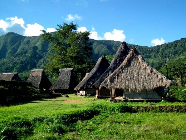 Wisata Kampung Adat Wologai via Mongabay, 1. Wisata Taman Renungan Bung Karno, 2. Wisata Situs Pengasingan Bung Karno, 3. Wisata Pantai Tangga Alam, 4. Wisata Pantai Mbu’u, 5. Wisata Pantai Ria, 6. Wisata Museum Tenun Ikat, 7. Wisata Museum Bahari, 9. Wisata Kampung Adat Wologai, 10. Wisata Kampung Adat Ranggase, 11. Wisata Gunung Meja, 12. Wisata Gunung Iya, 13. Wisata Danau Kelimutu, 14. Wisata Pantai Batu Cincin, 15. Wisata Air Terjun Murundao Ende, 16. Pantai Batu Biru, 17. Pantai Ena Bara Maurole, 18. Air Terjun Kede Bodu, 19. Bukit Cinta Ende, 20. Kampung Adat Saga, 21. Bukit Liaga, 22. Kampung Adat Wolotopo