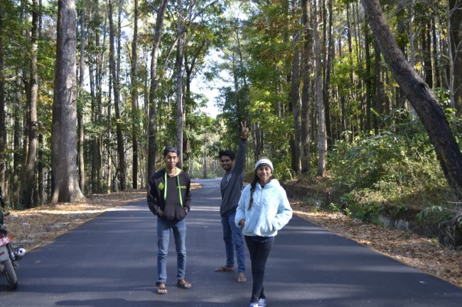 Wisata Hutan Tarandu - Tempat wisata di sumba tengah, 1. Wisata Pantai Maloba, 2. Wisata Pantai Aili, 3. Wisata Pantai Konda Maloba, 4. Wisata Pantai Wendei, 5. Wisata Bukit Mamboro, 6. Wisata Kampung Adat Wawarongu, 7. Wisata Air Terjun Harunda, 8. Wisata Tugu Ornamen, 9. Wisata Air Terjun Matayangu, 10. Wisata Hutan Tarandu, 11. Bukit Warinding, 12. Wisata Pantai Lenang, 13. Wisata Pantai Kapulit, 14. Bukit Waibakul, 15. Bukit Cendana, 16. Wisata Air Terjun Kolam Jodoh Sumba Timur, 17. Air Terjun Lapopu