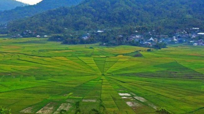 Wisata Lembor Manggarai Barat - tempat wisata di Manggarai Timur, 1. Air Terjun Wae Lekot, 2. Menyaksikan Matahari Terbit di Bukit Golo Ndalo, 3. Wisata Pantai Mausui, 4. Wisata Pantai Mbolata, 5. Danau Rana Mese, 6. Wisata Pantai Liang Bala, 7. Wisata Borong, 8. Wisata Cepiwatu Beach, 9. Wisata Kampung Jawang, 10. Wisata Poco Mandasawu, 11. Padang Sabana Mausui, 12. Wisata Cunca Rede, 13. Wisata Lembor Manggarai Barat, 14. Gua Maria Cingcoleng, 15. Air Terjun Cuncang Ntangis, 16. Gunung Poco Ndeki, 17. Wisata Pantai Mabaruju, 18. Wisata Pantai Sawah Garam