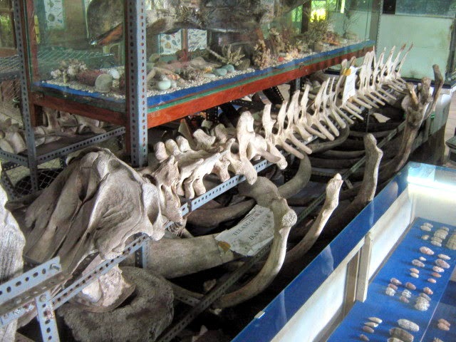 Wisata Museum Bahari via Orangflores, 1. Wisata Taman Renungan Bung Karno, 2. Wisata Situs Pengasingan Bung Karno, 3. Wisata Pantai Tangga Alam, 4. Wisata Pantai Mbu’u, 5. Wisata Pantai Ria, 6. Wisata Museum Tenun Ikat, 7. Wisata Museum Bahari, 9. Wisata Kampung Adat Wologai, 10. Wisata Kampung Adat Ranggase, 11. Wisata Gunung Meja, 12. Wisata Gunung Iya, 13. Wisata Danau Kelimutu, 14. Wisata Pantai Batu Cincin, 15. Wisata Air Terjun Murundao Ende, 16. Pantai Batu Biru, 17. Pantai Ena Bara Maurole, 18. Air Terjun Kede Bodu, 19. Bukit Cinta Ende, 20. Kampung Adat Saga, 21. Bukit Liaga, 22. Kampung Adat Wolotopo