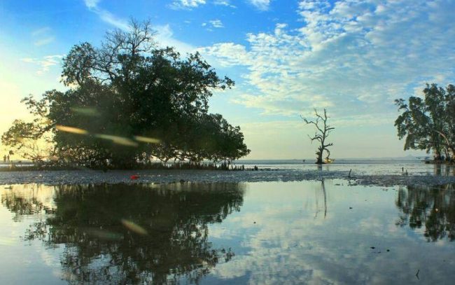 Wisata Pantai Nunsui via IG @etho_lz_76, 1. Pantai Batu Nona Kupang, 2. Wisata Pantai Lasiana, 3. Wisata Pantai Nunsui, 4. Wisata Pantai Manikin, 5. Wisata Pantai Tablolong, 6. Wisata Pantai Pasir Panjang, 7. Wisata Pantai Koepan, 8. Wisata Pantai Kelapa Tinggi, 9. Wisata Pantai Neam, 10. Wisata Pulau Kera, 11. Wisata Air Terjun Oenesu, 12. Wisata Air Terjun Tesbatan, 13. Wisata Taman Nostalgia, 14. Wisata Pantai Ketapang Satu, 15. Wisata Taman Rekreasi Gua Monyet, 16. Wisata Gua Kristal, 17. Wisata Kupang Waterpark, 18. Wisata Subasuka Waterpark, 19. Wisata Bukit Cinta, 20. Wisata Gunung Fatule’u, 21. Wisata Pantai Oesapa, 22. Padang Savana di Pantai Namosain