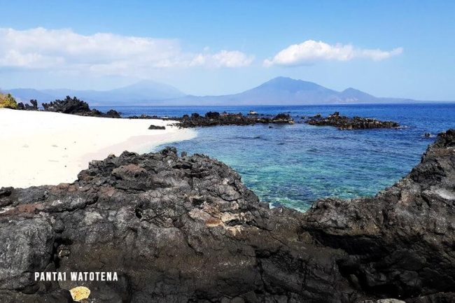 Wisata Pantai Neren Watotena, 1. Wisata Taman Bukit Fatimah, 2. Wisata Danau Asmara, 3. Wisata Pelabuhan Larantuka, 4. Wisata Istana Raja Larantuka, 5. Wisata Pulau Konga, 6. Wisata Pulau Adonara, 7. Wisata Pulau Solor, 8. Wisata Danau Waibelen, 9. Wisata Pantai Asam Satu, 10. Wisata Pantai Weri, 11. Wisata Pantai Kawaliwu, 12. Wisata Pantai Rako, 13. Wisata Pantai Ina Burak, 14. Wisata Pantai Lagaloe, 15. Wisata Pantai Neren Watotena, 16. Wisata Pantai Nuha, 17. Wisata Gunung Ile Mandiri, 18. Wisata Pemandian Air Panas Mokantarak, 19. Wisata Desa Wae Rebo, 20. Wisata Air Terjun Cunca Wulang, 21. Pantai Paihaka, 22. Pantai Watohari, 23. Pantai Deri, 24. Pantai Tanjung Bunga, 25. Pantai Kahale