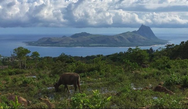 Wisata Pulau Mules via IG @esperanca.putri, 1. Wisata Danau Lotus, 2. Wisata Rumah Adat Wae Rebo, 3. Wisata Kampung Adat Todo, 4. Wisata Pulau Rinca, 5. Wisata Pulau Kelor, 6. Wisata Liang Bua, 7. Wisata Pulau Mules, 8. Wisata Air Terjun Cunca Rami, 9. Wisata Danau Rana Mese, 10. Wisata Golo Lantar, 11. Wisata Kanawa Island, 12. Wisata Bukit Silvia, 13. Wisata Kota Ruteng, 14. Sawah Lodok