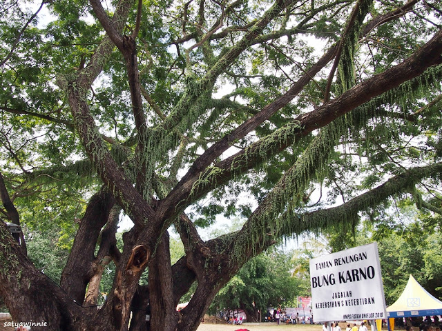 Wisata Taman Renungan Bung Karno via Satyawinnies, 1. Wisata Taman Renungan Bung Karno, 2. Wisata Situs Pengasingan Bung Karno, 3. Wisata Pantai Tangga Alam, 4. Wisata Pantai Mbu’u, 5. Wisata Pantai Ria, 6. Wisata Museum Tenun Ikat, 7. Wisata Museum Bahari, 9. Wisata Kampung Adat Wologai, 10. Wisata Kampung Adat Ranggase, 11. Wisata Gunung Meja, 12. Wisata Gunung Iya, 13. Wisata Danau Kelimutu, 14. Wisata Pantai Batu Cincin, 15. Wisata Air Terjun Murundao Ende, 16. Pantai Batu Biru, 17. Pantai Ena Bara Maurole, 18. Air Terjun Kede Bodu, 19. Bukit Cinta Ende, 20. Kampung Adat Saga, 21. Bukit Liaga, 22. Kampung Adat Wolotopo
